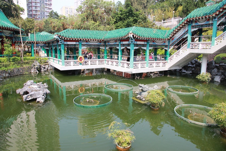 hong 港,措施,池塘