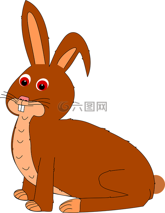 兔,紧缩,小兔子