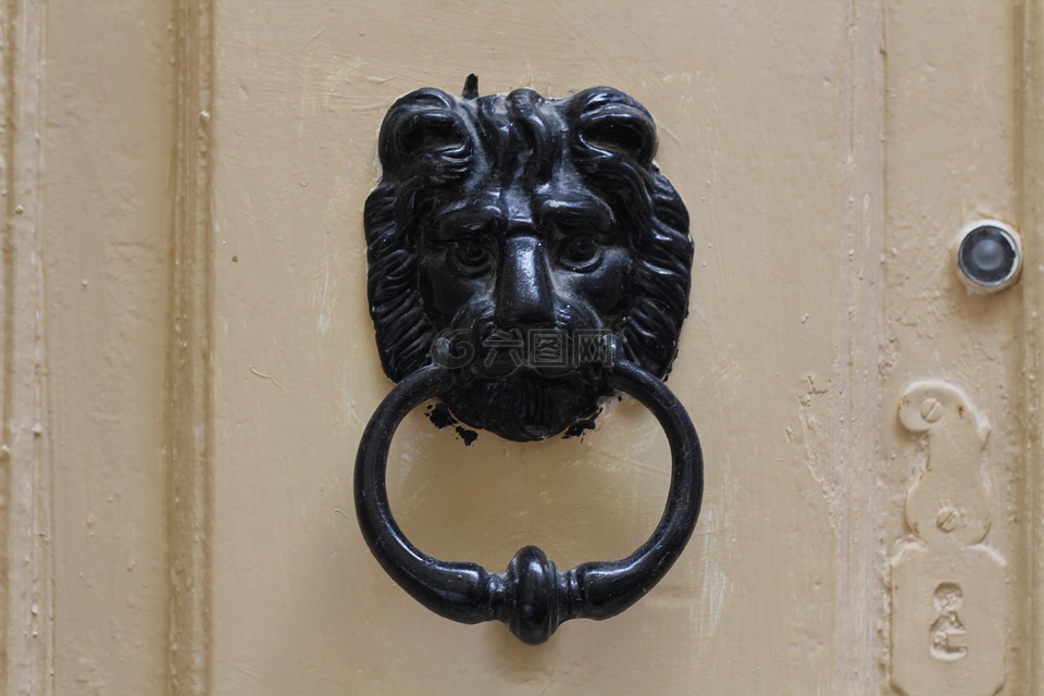 门,门环,狮子