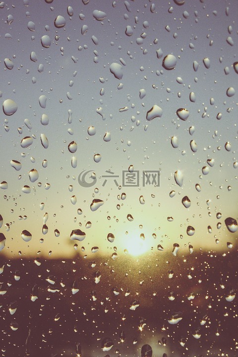 雨滴,水,湿