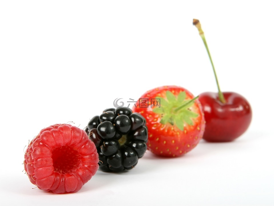 浆果,黑,黑莓