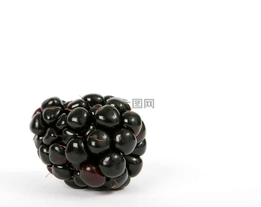 浆果,黑,黑莓
