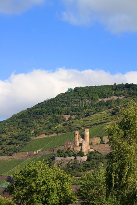 burg 整体性问题,葡萄园,城堡 bingen