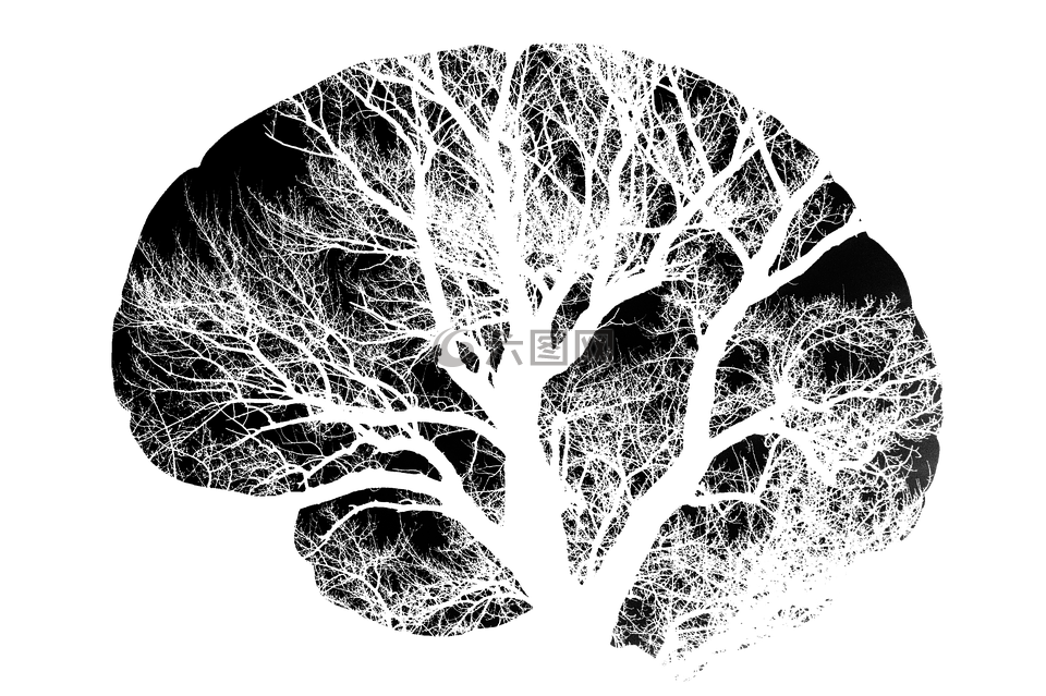 大脑,树,黑