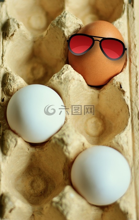 蛋,鸡蛋,褐壳蛋