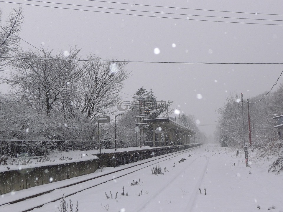 日本,冬天,雪下