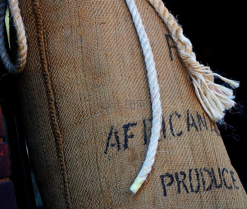 非洲生产,咖啡,导入