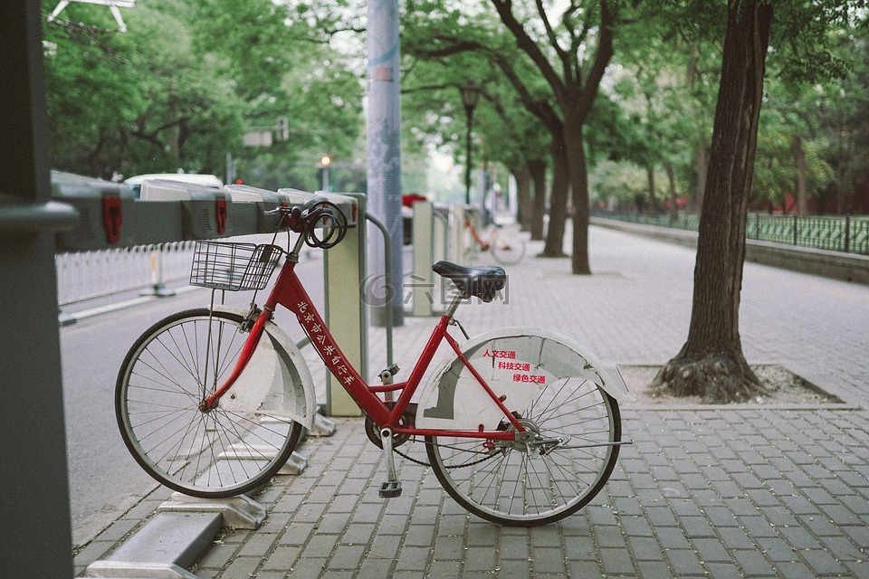自行车,自行车架,公园