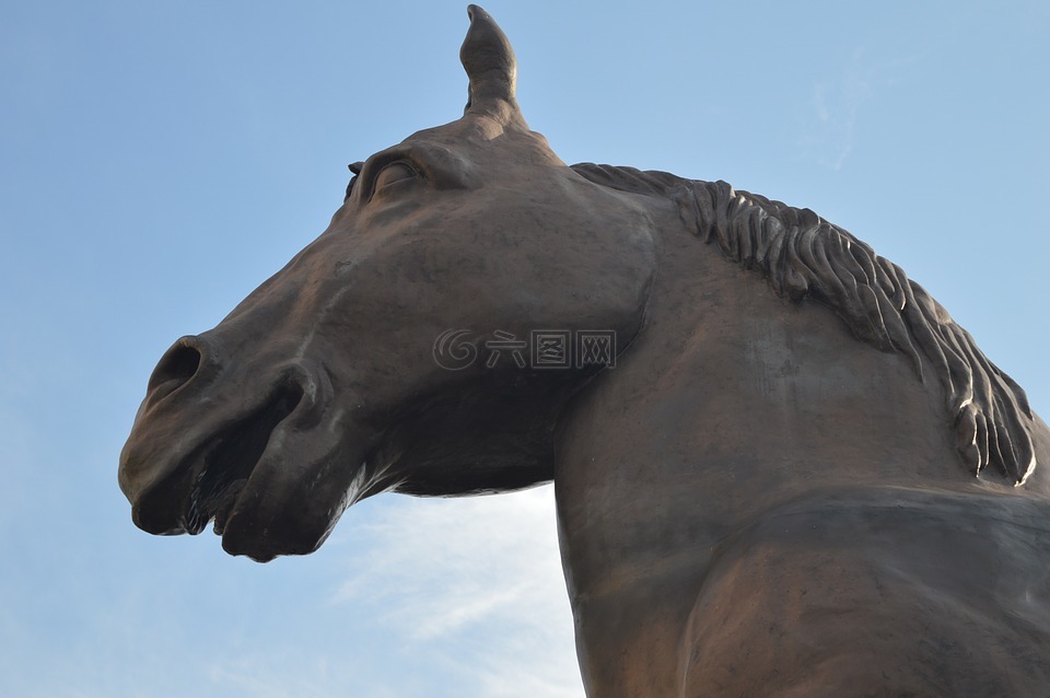 雕像,马,动物