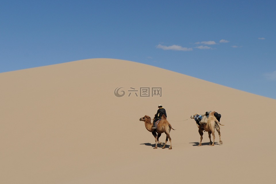 蒙古,沙漠,戈壁