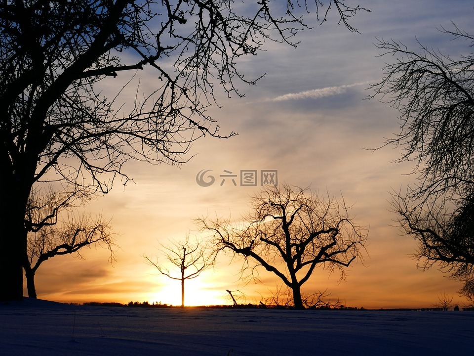 冬季的心情,树,日落