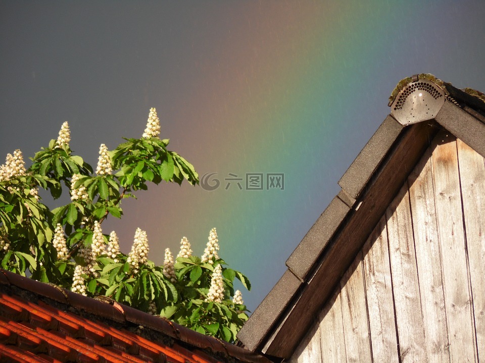 彩虹,天气,自然奇观