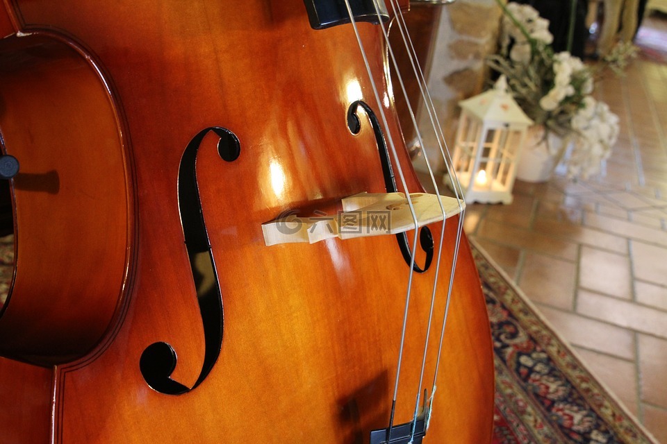 低音提琴,乐器,archi