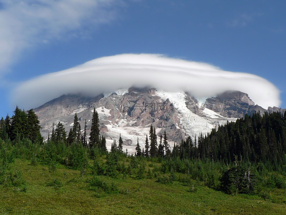 雷尼尔山,华盛顿,景观