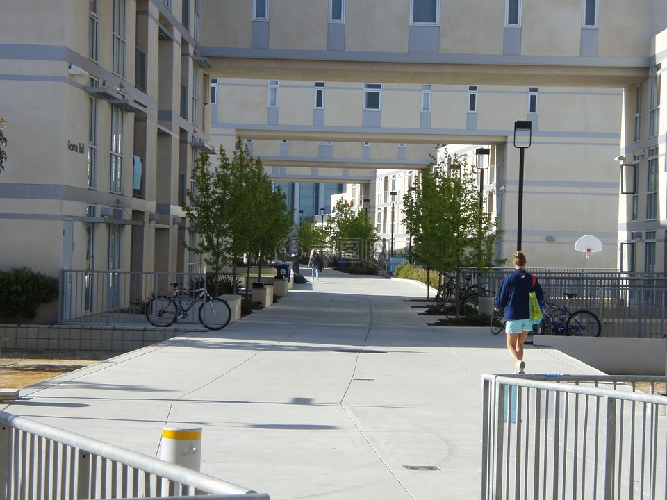 加州大学圣地亚哥分校,罗斯福大学,结构