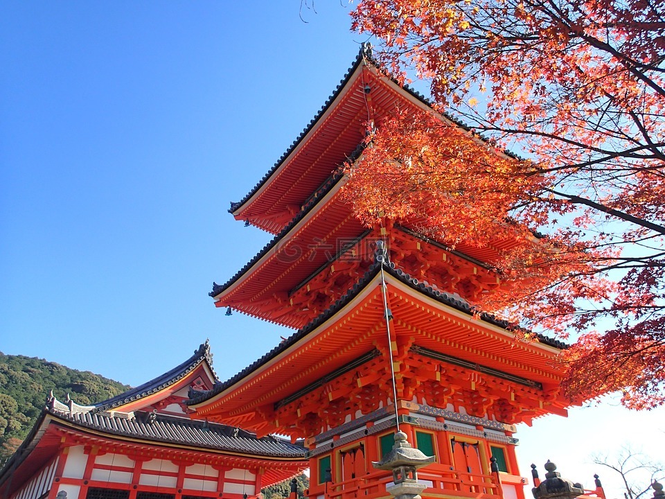 红叶狩,京都,秋天