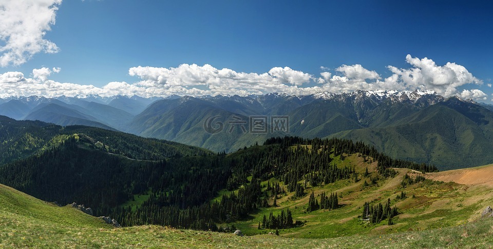 景观,山脉,山