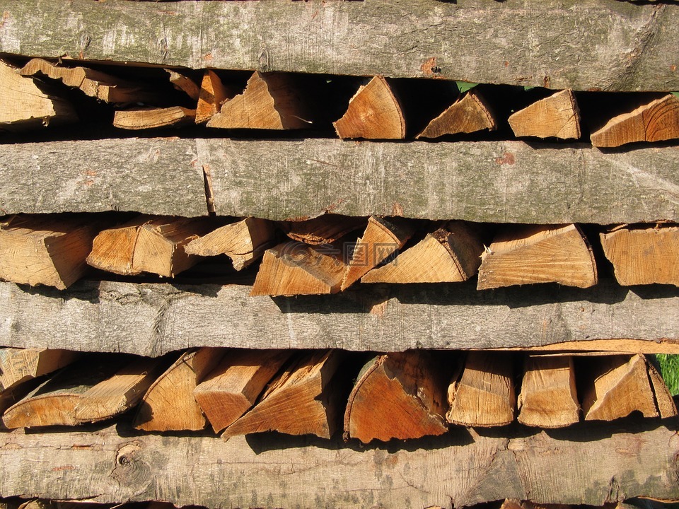 树木材,柴,木