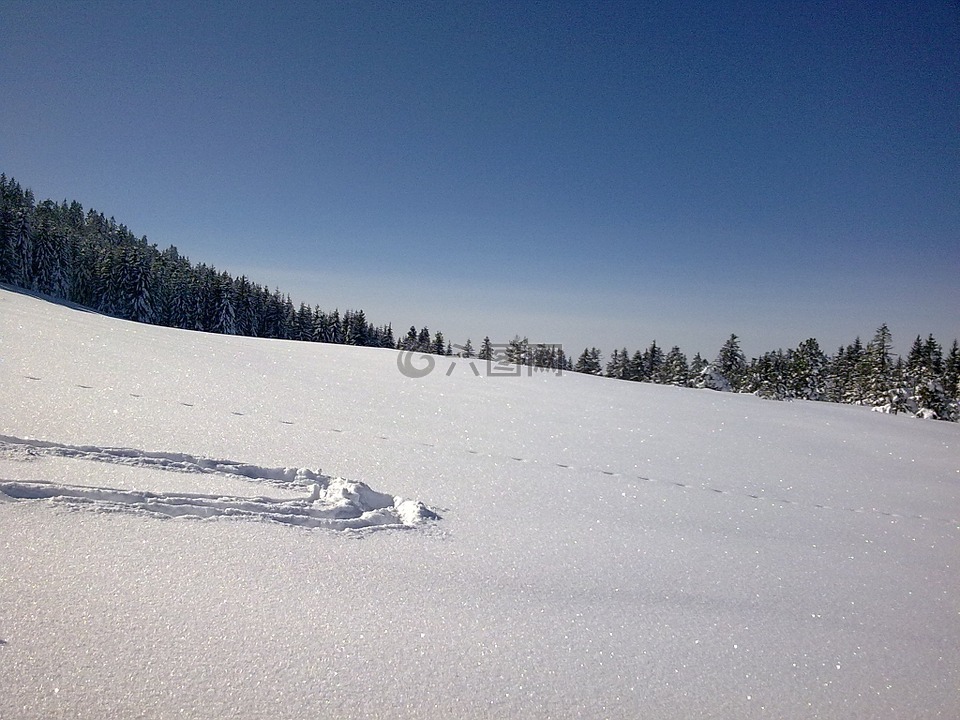 福拉尔贝格,冬天,雪