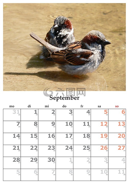 日历,个月,9 月