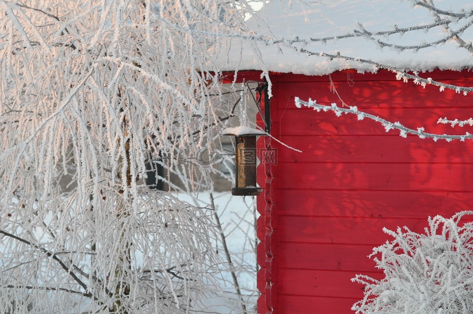 冬天,雪,花园的小屋