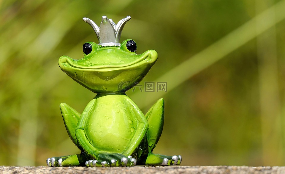 青蛙,数字,国王