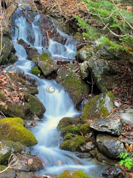 水,過獨身生活,景觀