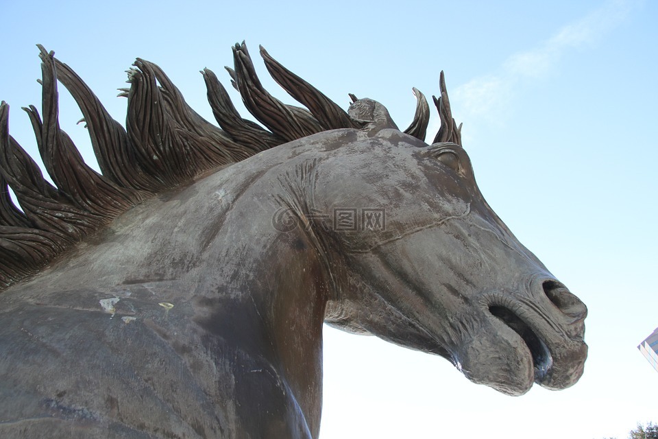 马,雕像,雕塑