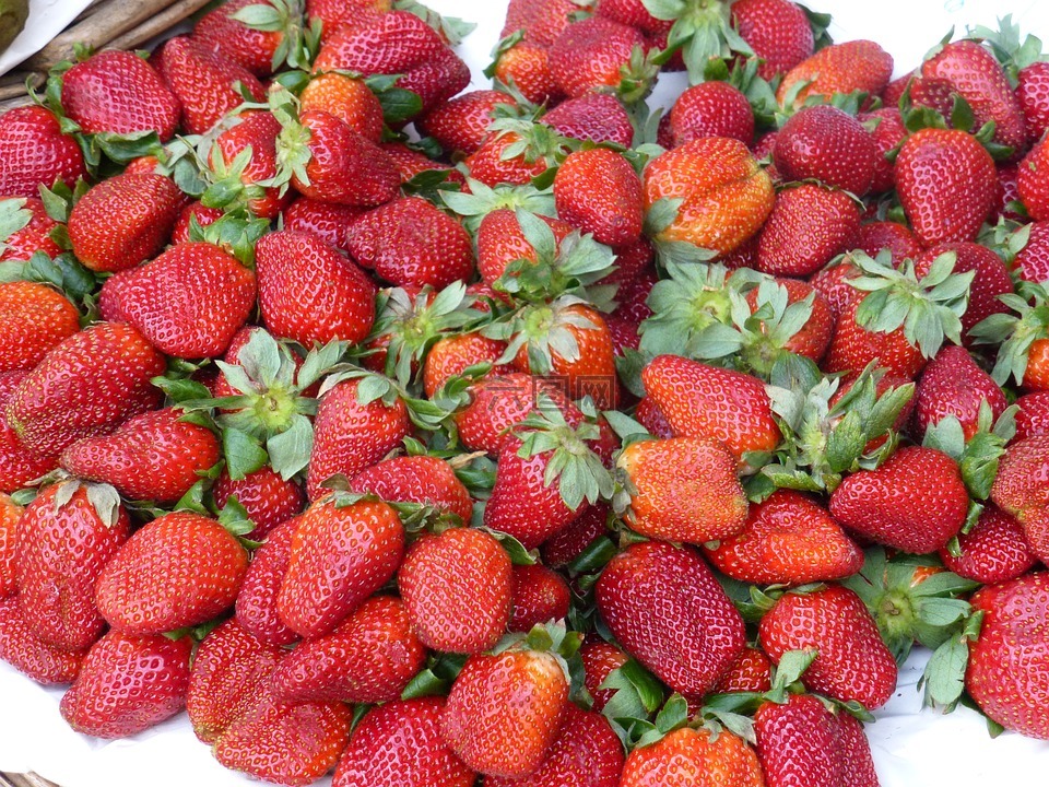 草莓,夏季,甜