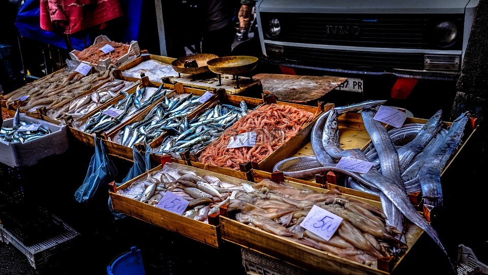 鱼,食品,市场