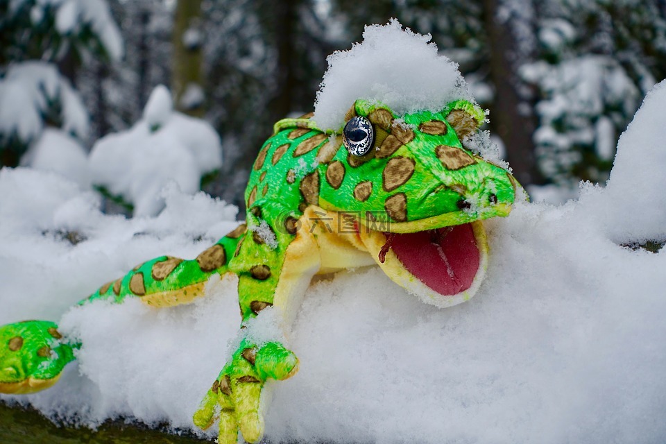 傀儡,雪,青蛙