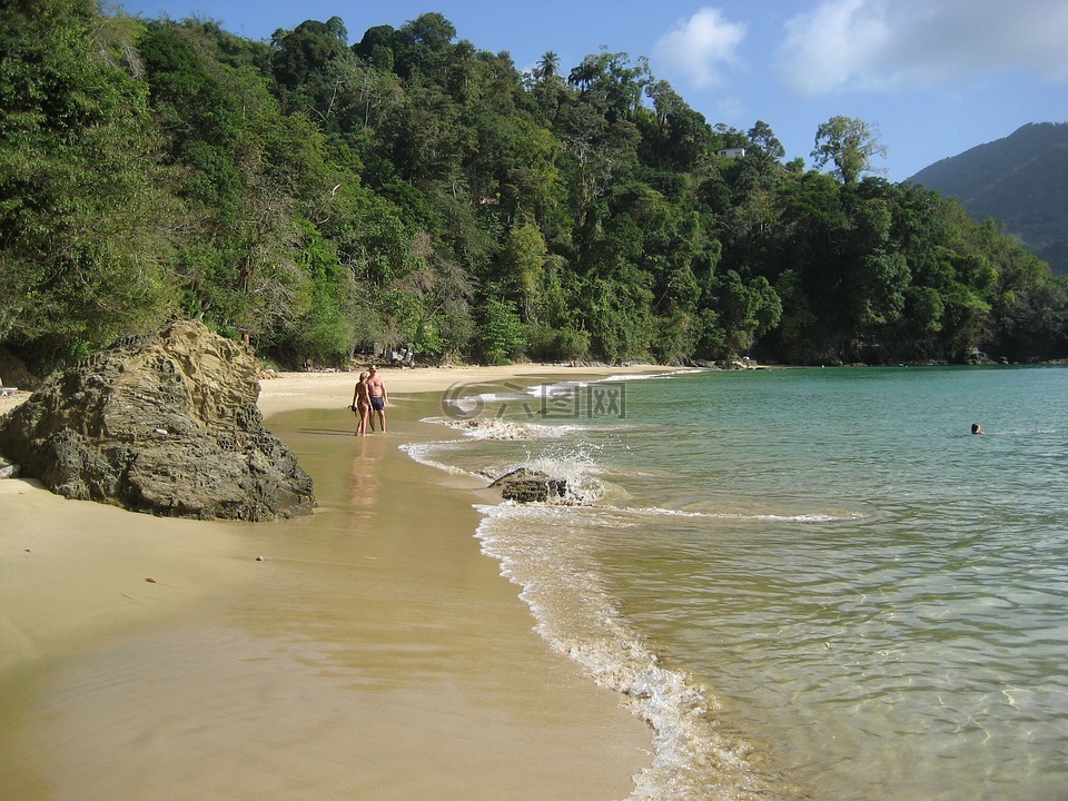 多巴哥,海滩,加勒比