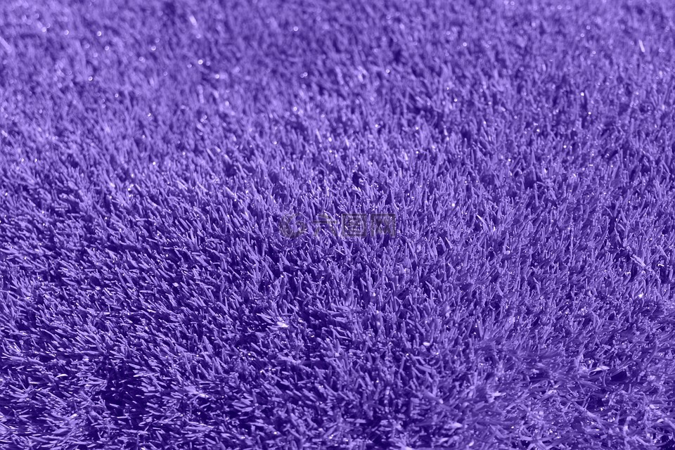 背景,紫,草