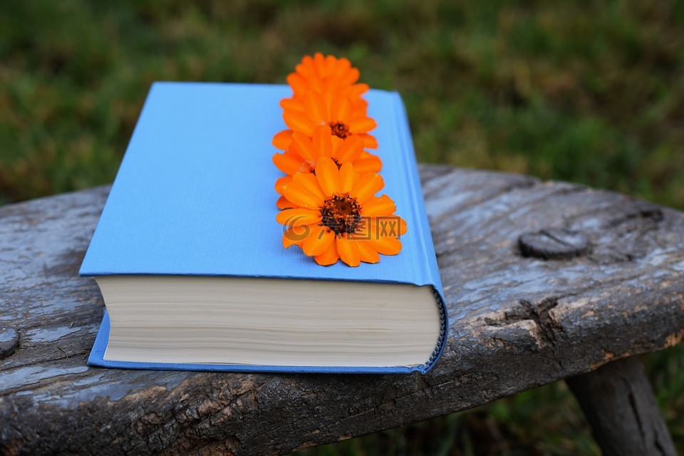 书,花朵,橙色