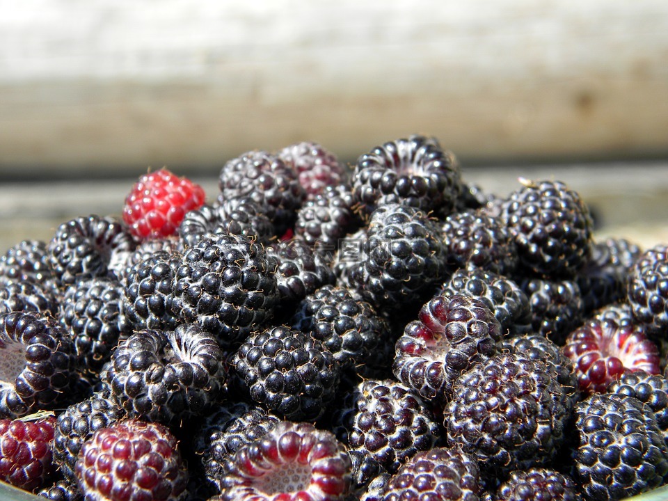 覆盆子,黑树莓,成熟的覆盆子