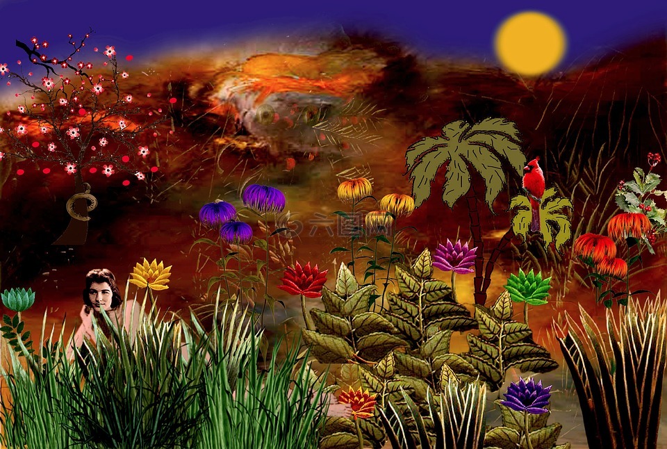 花园,伊甸园,丰富多彩