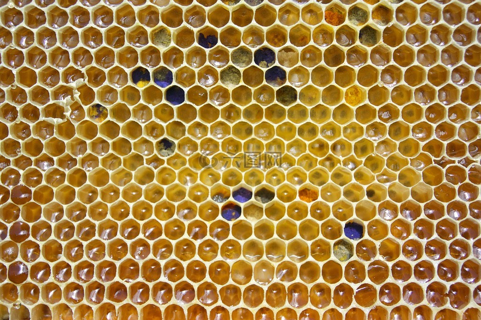 蜂蜜,梳,花粉
