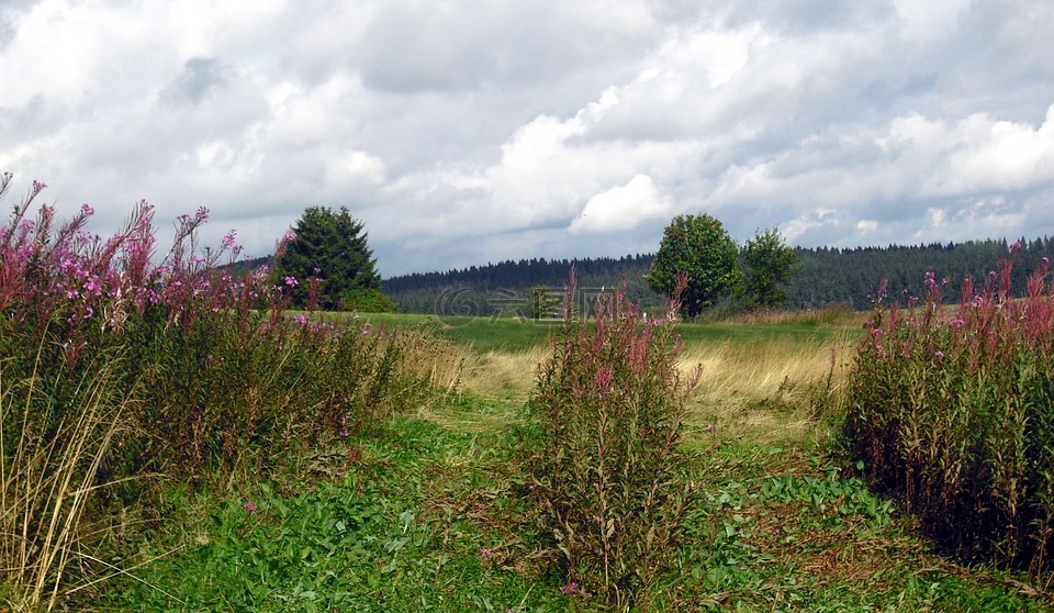 hochrhoen,景观,自然保护区