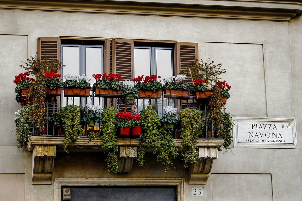 花盆,鲜花,意大利