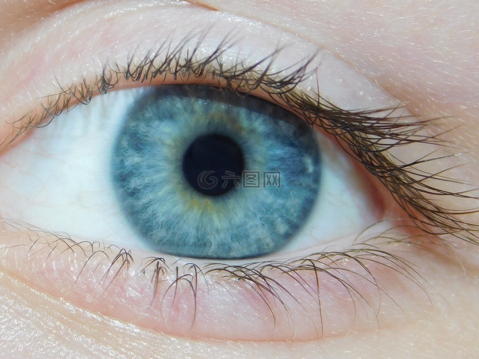 蓝色,眼,蓝色的眼睛
