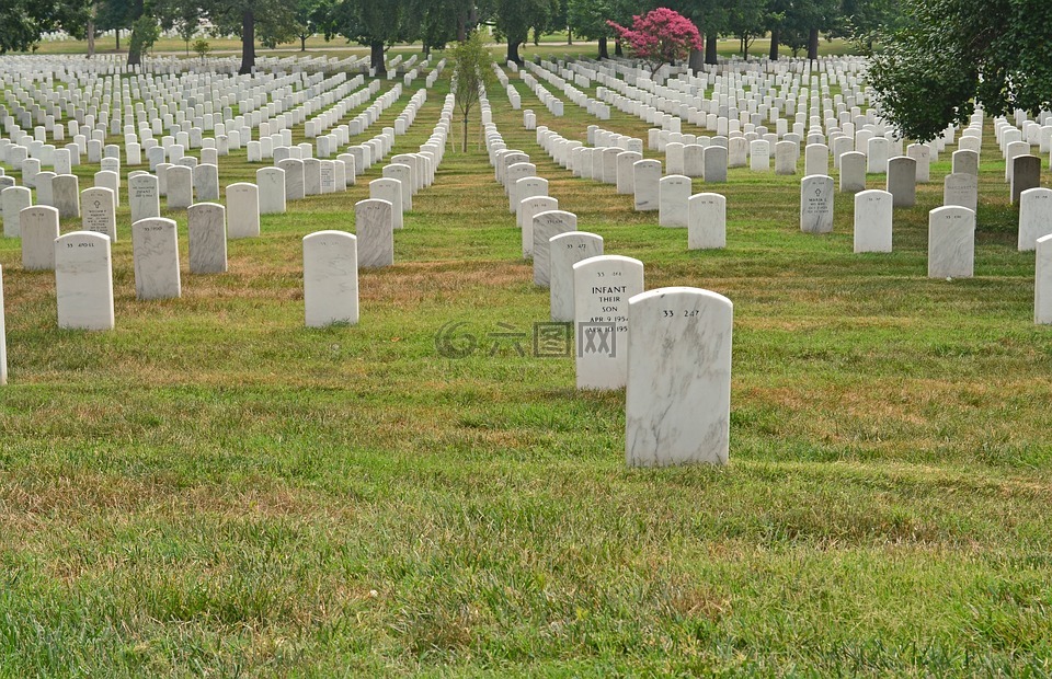 弗吉尼亚州,阿灵顿国家公墓,坟场