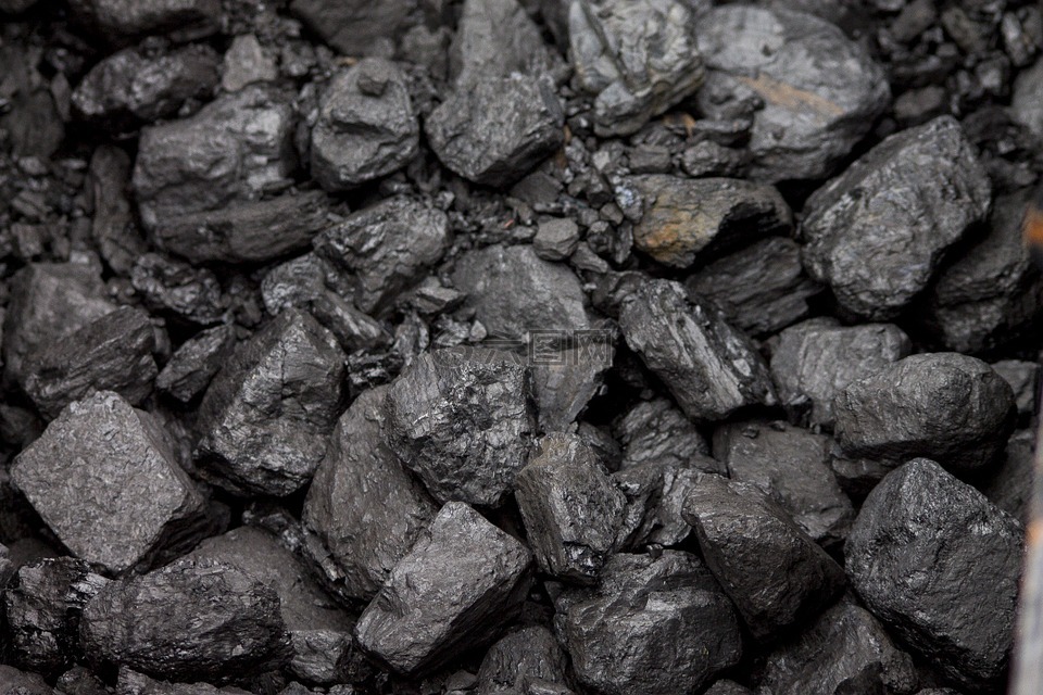 煤炭,卷心菜,烧了