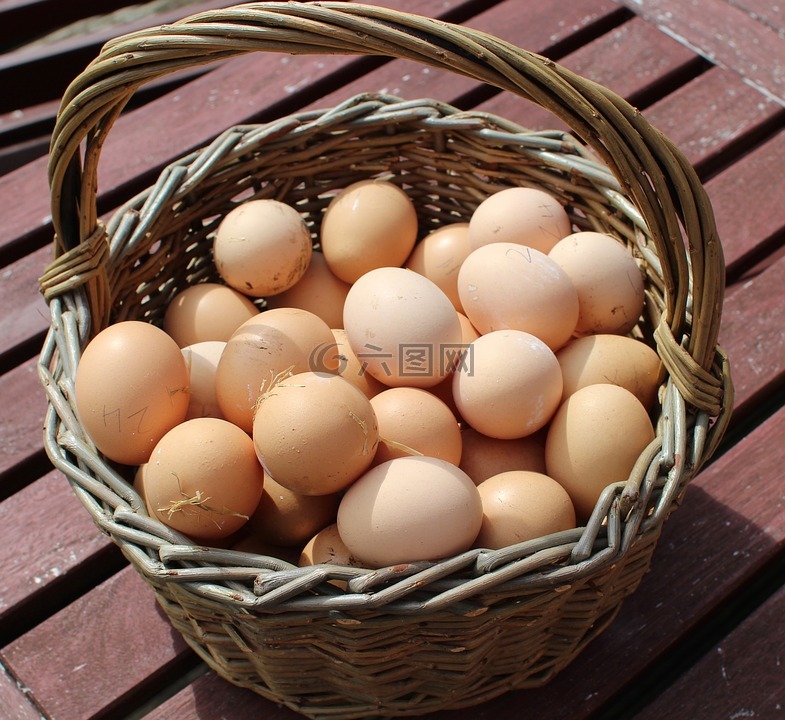 鸡蛋,篮,新鲜