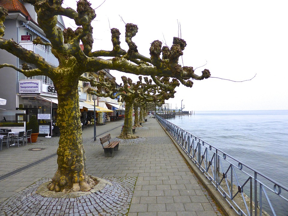 树,海边,柱廊