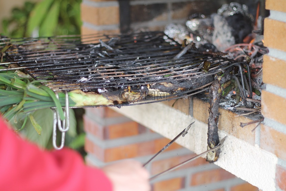 calçots,电源,火灾