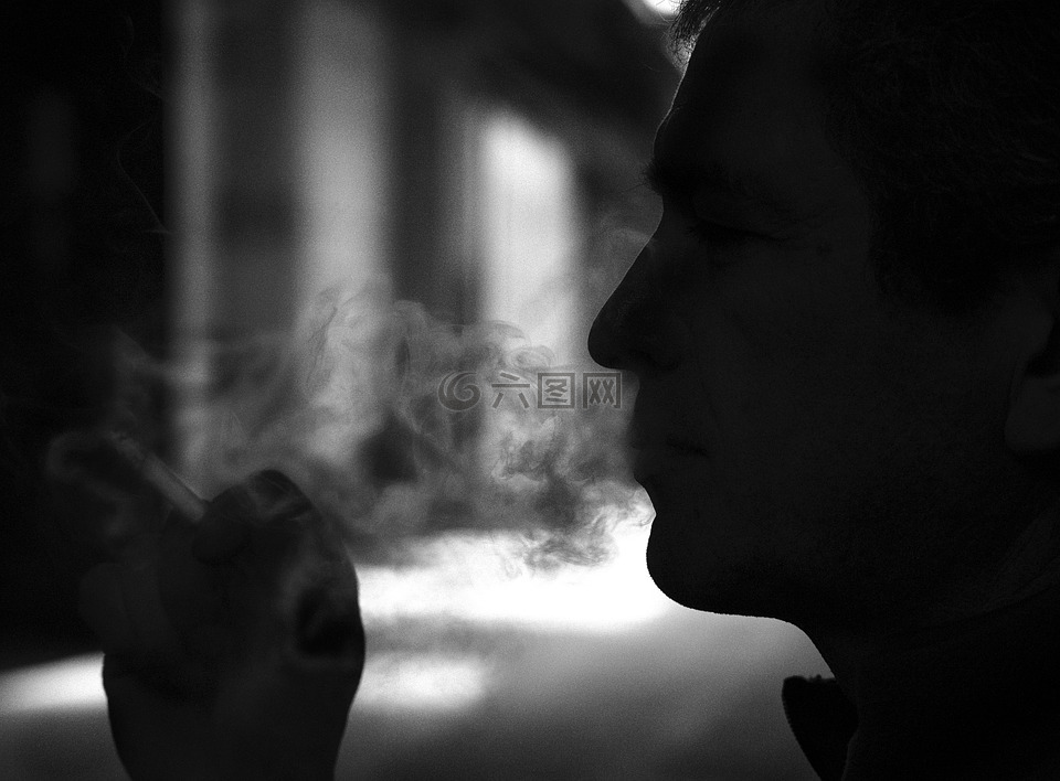 吸烟者,烟,雪茄