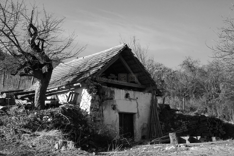 房子,rom,被遗弃的建筑