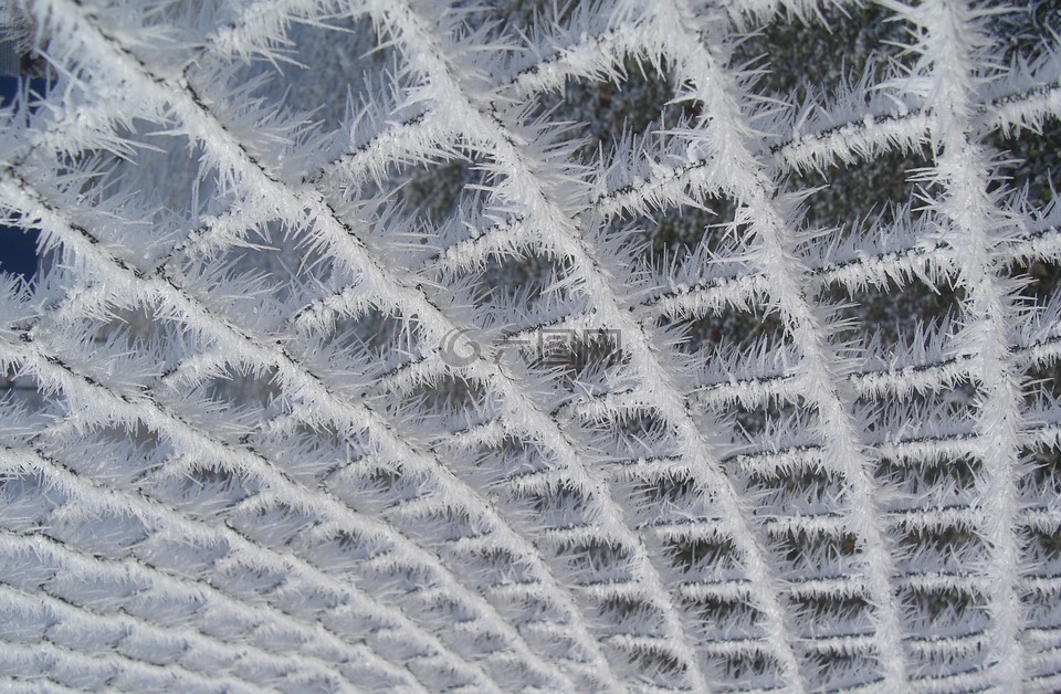 霜,金属丝网,篱笆