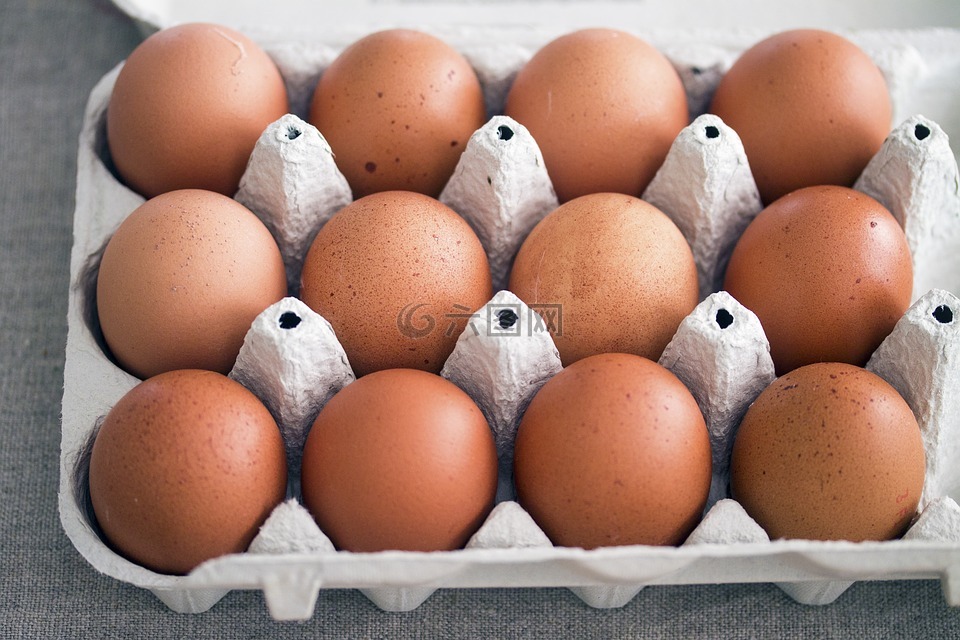 鸡蛋,农村生活,母鸡