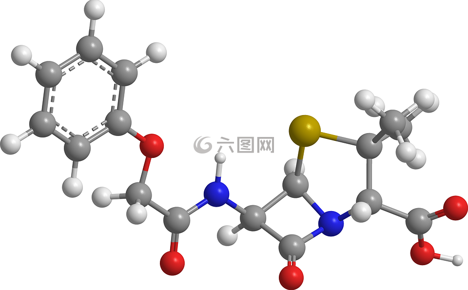 fenoximetilpenicilina,amoxil,阿莫西林